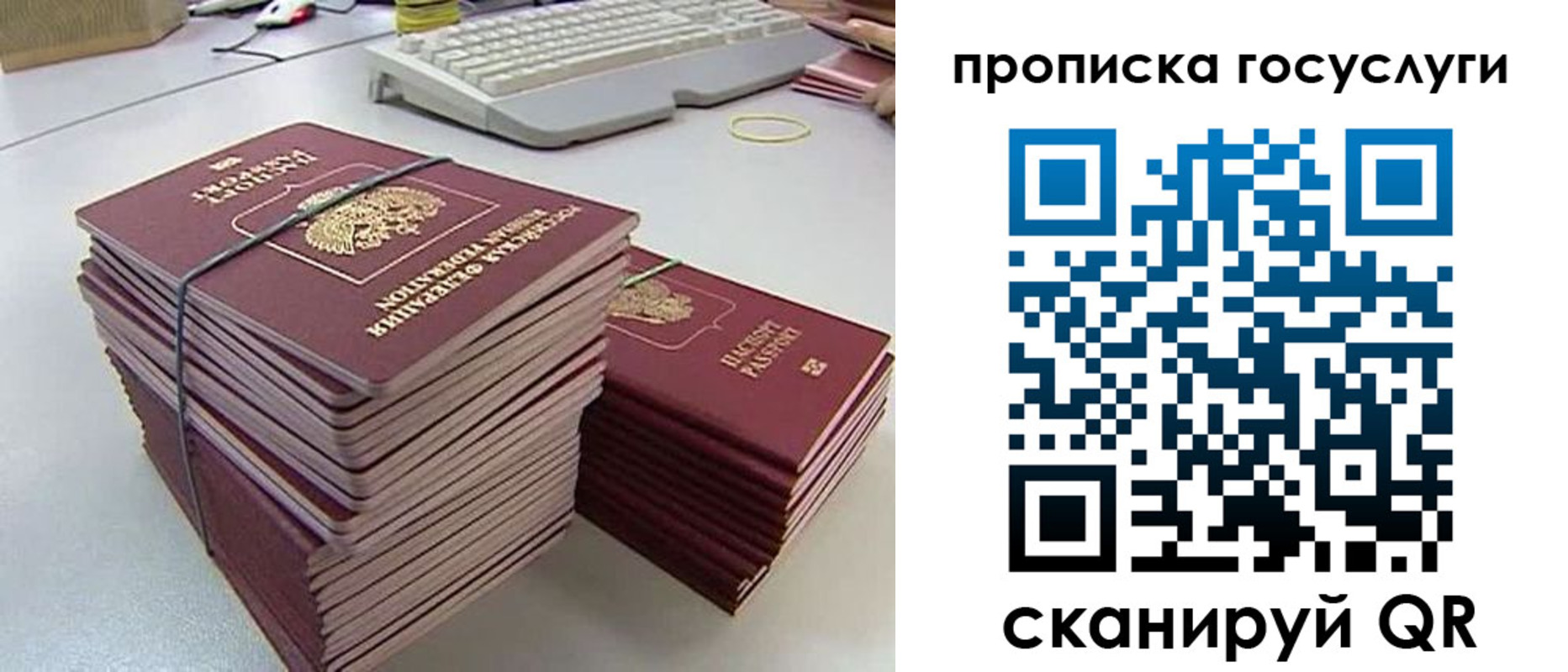 временная регистрация для школы в Кандалакше